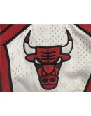 Chicago Bulls White & Red Just Don Shorts