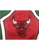 Chicago Bulls Green Just Don Shorts