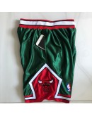 Chicago Bulls Green Just Don Shorts