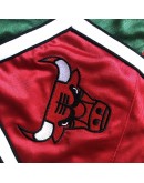 Chicago Bulls Green Just Don Shorts