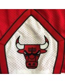 Chicago Bulls Red Just Don Shorts