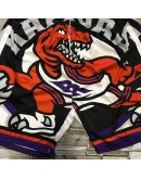 Toronto Raptors Black & White Shorts