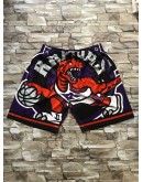 Toronto Raptors Purple Shorts