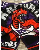 Toronto Raptors Purple Shorts