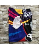 Toronto Raptors Multi-Color Shorts