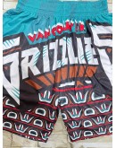 Vancouver Grizzlies Teal Shorts