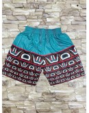 Vancouver Grizzlies Teal Shorts