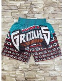 Vancouver Grizzlies Teal Shorts