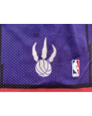 Toronto Raptors Purple Shorts