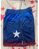 Boston Celtics Blue Shorts