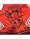 Chicago Bulls Red Shorts