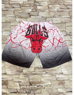 Chicago Bulls White Shorts