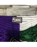 Los Angeles Lakers Green & Purple Shorts