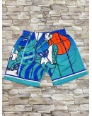 Charlotte Hornets Multi Shorts