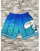 Charlotte Hornets Multi Shorts