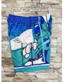 Charlotte Hornets Multi Shorts