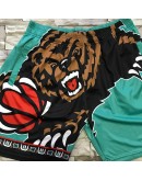 Memphis Grizzlies Teal Shorts