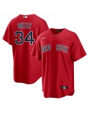 David Ortiz Boston Red Sox Nike Alternate Replica Player Jersey - Red