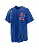 Chicago Cubs Nike Alternate Replica Team Jersey - Royal