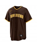 Fernando Tatis Jr. San Diego Padres Nike Alternate Replica Player Jersey - Brown