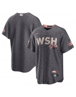 Washington Nationals Nike 2022 City Connect Replica Jersey - Gray