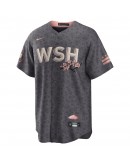 Washington Nationals Nike 2022 City Connect Replica Jersey - Gray