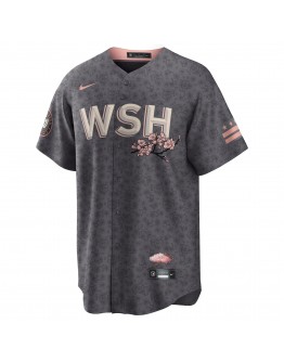 Washington Nationals Nike 2022 City Connect Replica Jersey - Gray