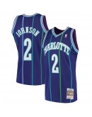 Larry Johnson Charlotte Hornets Mitchell & Ness 1992-93 Hardwood Classics Swingman Jersey - Purple