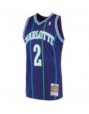 Larry Johnson Charlotte Hornets Mitchell & Ness 1992-93 Hardwood Classics Swingman Jersey - Purple