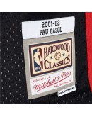 Pau Gasol Memphis Grizzlies Mitchell & Ness Hardwood Classics 2001/02 Split Swingman Jersey - Black/Turquoise