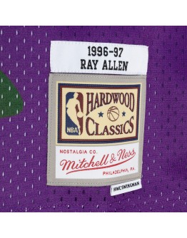 Ray Allen Milwaukee Bucks Mitchell & Ness Hardwood Classics 1996/97 Split Swingman Jersey - Green/Purple