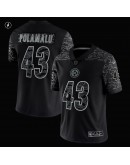 Troy Polamalu Pittsburgh Steelers Nike Retired Player RFLCTV Limited Jersey - Black