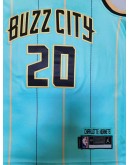 Gordon Hayward #20 Charlotte Hornets