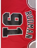 Dennis Rodman #91 Chicago Bulls Jersey