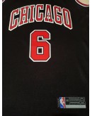 Alex Caruso #6 Chicago Bulls Jersey