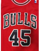 Michael Jordan #45 Chicago Bulls Jersey