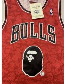 Michael Jordan #23 Chicago Bulls Jersey