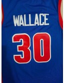 Ben Wallace #30 Detroit Pistons Jersey