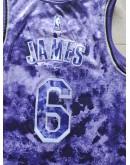 LeBron James #6 Los Angeles Lakers Jersey