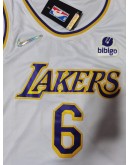 LeBron James #6 Los Angeles Lakers Jersey