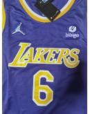 LeBron James #6 Los Angeles Lakers Jersey