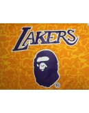 Lebron James #23 Los Angeles Lakers Jersey