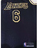 LeBron James #6 Los Angeles Lakers Jersey