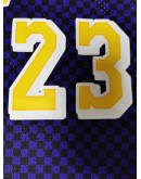 LeBron James #23 Los Angeles Lakers Jersey