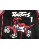 Tracy McGrady #1 Toronto Raptors Jersey