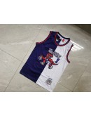 Tracy McGrady #1 Toronto Raptors Jersey