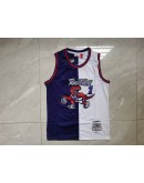 Tracy McGrady #1 Toronto Raptors Jersey