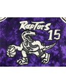 Vince Carter #15 Toronto Raptors Jersey